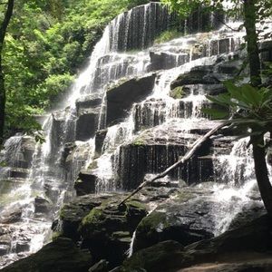 Meet your Posher, Walker